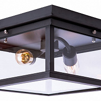 Потолочный светильник LOFT IT LOFT311 LOFT3110-2C