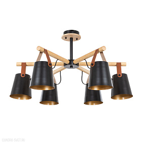 Потолочная люстра Arte Lamp THOMAS A7032PL-6BK