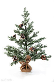 Ель CRYSTAL TREES ВЕРНАЦЦА в инее с шишками 60 см. KP1460