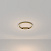 Светодиодный потолочный светильник Maytoni Rim MOD058CL-L25BS3K