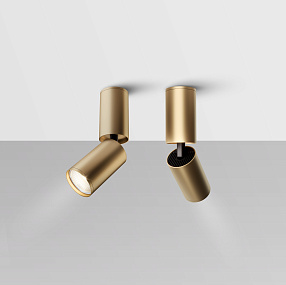 Накладной светильник Maytoni FOCUS S C051CL-01G