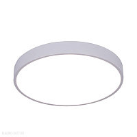 Потолочный светодиодный светильник Arte Lamp ARENA A2661PL-1WH