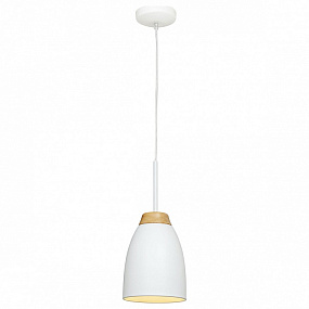 Подвесной светильник LOFT IT Watchman LOFT4402A-WH