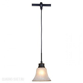 Трековый светильник CITILUX Классик CL560215
