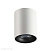 Накладной светильник Odeon Light TUBORINO 3569/1C