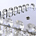 Хрустальная светодиодная настольная лампа APL LED Sicilia SH500.L4.15-38.B.Ni.4000