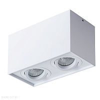 Накладной светильник Arte Lamp FACTOR A5544PL-2WH