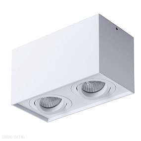 Накладной светильник Arte Lamp FACTOR A5544PL-2WH