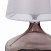 Настольная лампа ST Luce Ampolla SL974.604.01