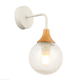 Светильник настенный EVOLUCE LIONE SLE109501-01