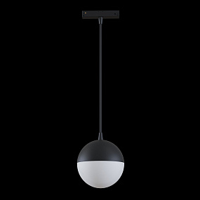Трековый светодиодный светильник для магнитного трека Maytoni Track lamps TR018-2-10W3K-B