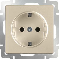Розетка с заземлением и шторками (шампань) Werkel WL11-SKGS-01-IP44