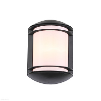 Уличный настенный светильник ST Luce AGIO SL076.401.01