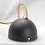 Подвесной светильник Lussole Loft YUKON GRLSP-8053