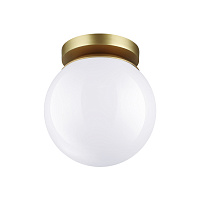 Потолочный накладной светильник Odeon Light BOSCO 4247/1C