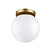 Потолочный накладной светильник Odeon Light BOSCO 4247/1C
