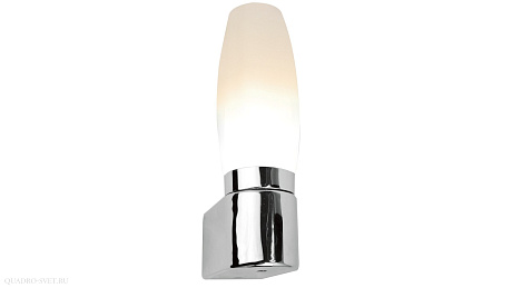 Настенный светильник Arte Lamp AQUA A1209AP-1CC