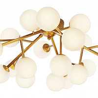 Потолочная люстра Maytoni Dallas MOD545CL-20BS