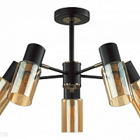 Потолочная люстра LUMION RONNIE 5644/5C