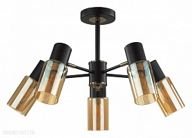 Потолочная люстра LUMION RONNIE 5644/5C