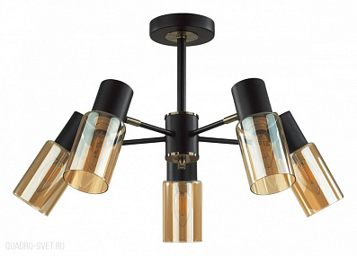 Потолочная люстра LUMION RONNIE 5644/5C