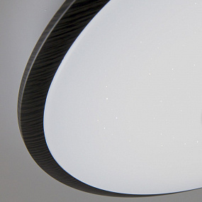 Потолочный светильник CITILUX Старлайт Смарт CL703A65G