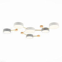 Потолочная светодиодная люстра EVOLUCE DOSSENA SLE600102-06