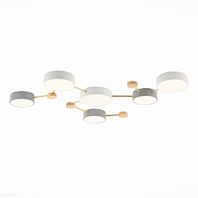 Потолочная светодиодная люстра EVOLUCE DOSSENA SLE600102-06