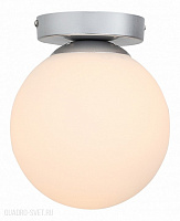 Накладной светильник ST Luce Acini SL717.501.01