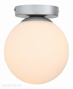 Накладной светильник ST Luce Acini SL717.501.01