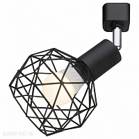 Спот Arte Lamp A6141PL-1BK