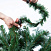Ель CRYSTAL TREES Власта зеленая с вплетенной гирляндой 180 см KP6018
