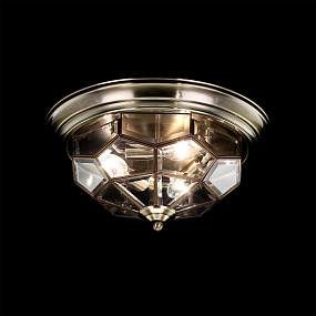 Потолочный светильник CITILUX Витра-1 CL442530