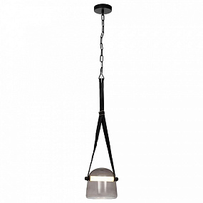 Подвесной светодиодный светильник LOFT IT Mona 1608P-BL