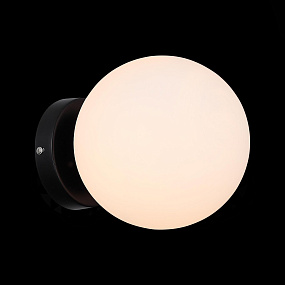 Накладной светильник ST Luce Acini SL717.401.01