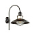 Уличный настенный светильник IP44 Odeon Light DANTE 4164/1WA