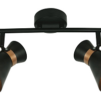 Спот Arte Lamp Baltimore A1406AP-2BK
