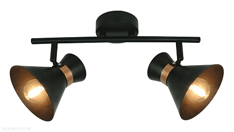 Спот Arte Lamp Baltimore A1406AP-2BK