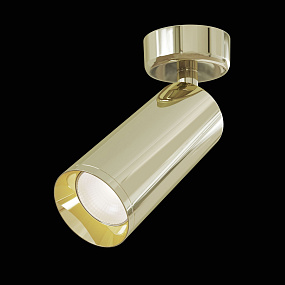 Накладной потолочный светильник Maytoni Focus C017CW-01G