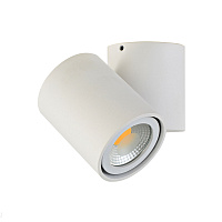 Накладной поворотный светильник Donolux Eva A1594White/RAL9003