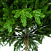Ель CRYSTAL TREES ТАЛА 150 см. KP27150