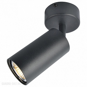 Накладной светильник Arte Lamp A3216PL-1BK