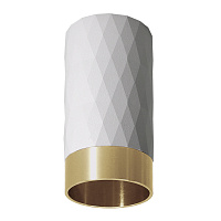 Накладной светильник Arte Lamp FANG A5658PL-1WH