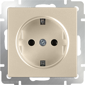 Розетка с заземлением (шампань) Werkel WL11-SKG-01-IP20