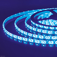 Лента светодиодная 60Led 4,8W IP65 синий (2835 12V 60Led 4,8W IP65) Elektrostandard 2835 12V 60Led 4