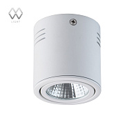 Накладной светильник MW-Light Круз 637014101