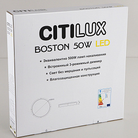 Потолочный светильник CITILUX Бостон CL709501N
