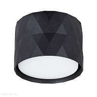 Накладной светильник Arte Lamp FANG A5552PL-1BK