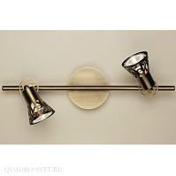 Спот CITILUX Винон CL519523