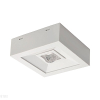 Аварийный светодиодный светильник Kanlux TRIC POWERLED NT 18643